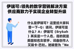 伊瑞可:领先的数字营销解决方案供应商致力于实现企业转型升级