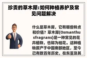珍贵的草木犀:如何种植养护及常见问题解决