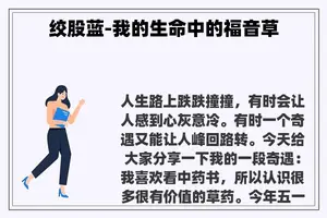 绞股蓝-我的生命中的福音草