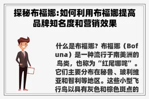 探秘布福娜:如何利用布福娜提高品牌知名度和营销效果