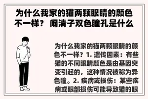 为什么我家的猫两颗眼睛的颜色不一样？ 阚清子双色瞳孔是什么意思？