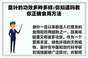 桑叶的功效多种多样:你知道吗教你正确食用方法