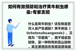 如何有效预防和治疗黄牛刺虫感染:专家支招