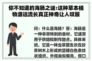 你不知道的海肠之谜:这种草本植物源远流长真正神奇让人叹服