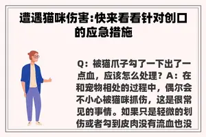 遭遇猫咪伤害:快来看看针对创口的应急措施