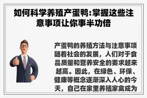 如何科学养殖产蛋鸭:掌握这些注意事项让你事半功倍