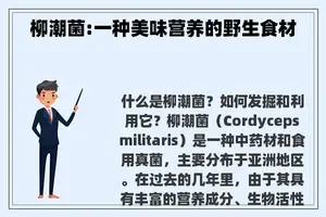 柳潮菌:一种美味营养的野生食材
