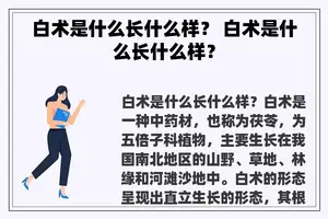白术是什么长什么样？ 白术是什么长什么样？