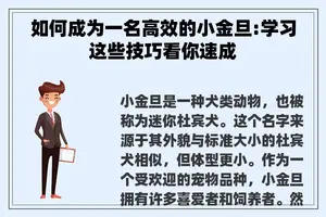 如何成为一名高效的小金旦:学习这些技巧看你速成