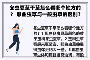 冬虫夏草干草怎么看哪个地方的？ 那曲虫草与一般虫草的区别？