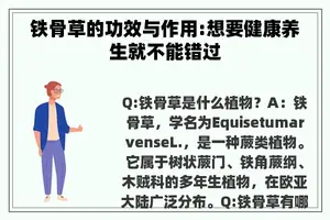 铁骨草的功效与作用:想要健康养生就不能错过