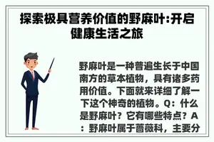 探索极具营养价值的野麻叶:开启健康生活之旅