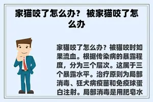 家猫咬了怎么办？ 被家猫咬了怎么办