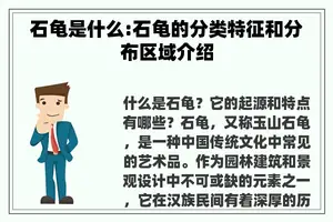 石龟是什么:石龟的分类特征和分布区域介绍