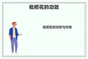 枇杷花的功效