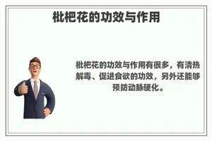 枇杷花的功效与作用