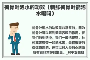 枸骨叶泡水的功效(新鲜枸骨叶能泡水喝吗) 枸骨叶泡水的功效(新鲜枸骨叶能泡水喝吗)