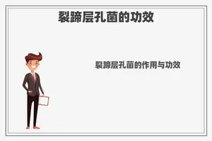 裂蹄层孔菌的功效
