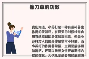 镰刀草的功效