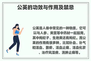 公英的功效与作用及禁忌