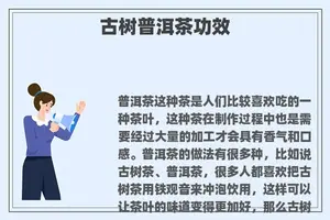 古树普洱茶功效