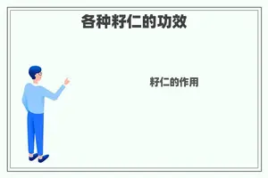 各种籽仁的功效