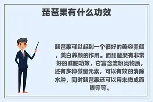 琵琶果有什么功效