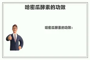 哈密瓜酵素的功效