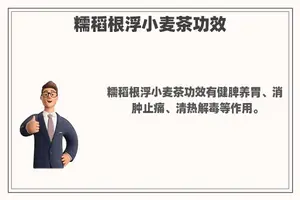 糯稻根浮小麦茶功效