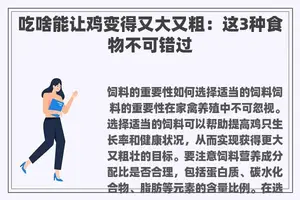 吃啥能让鸡变得又大又粗：这3种食物不可错过