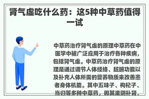 肾气虚吃什么药：这5种中草药值得一试