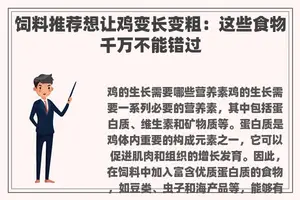饲料推荐想让鸡变长变粗：这些食物千万不能错过