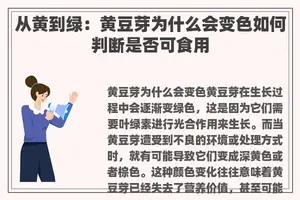 从黄到绿：黄豆芽为什么会变色如何判断是否可食用