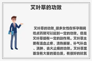 艾叶草的功效