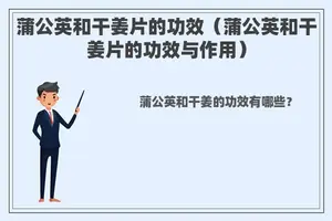 蒲公英和干姜片的功效（蒲公英和干姜片的功效与作用）