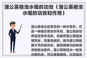 蒲公英根泡水喝的功效（蒲公英根泡水喝的功效和作用）