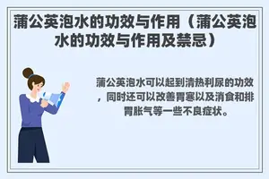 蒲公英泡水的功效与作用（蒲公英泡水的功效与作用及禁忌）