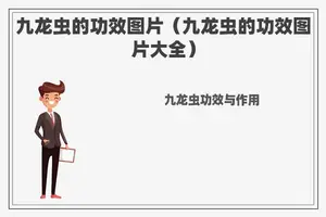 九龙虫的功效图片（九龙虫的功效图片大全）