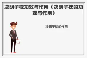 决明子枕功效与作用（决明子枕的功效与作用）