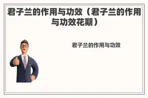 君子兰的作用与功效（君子兰的作用与功效花期）