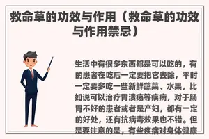 救命草的功效与作用（救命草的功效与作用禁忌）
