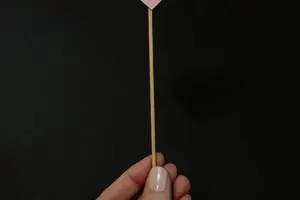 揭秘卵巢肿瘤：致病原因一网打尽！
