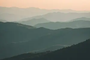 亿亿白蔻仁,呵护健康人生 亿亿白蔻仁,呵护健康人生