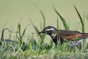 告别乳腺纤维瘤烦恼,轻松解决问题! 告别乳腺纤维瘤烦恼,轻松解决问题!
