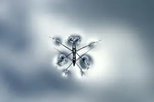 小心！蚊子大爱叮咬这种血型！