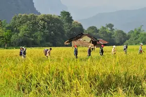 五谷杂粮 健康之选