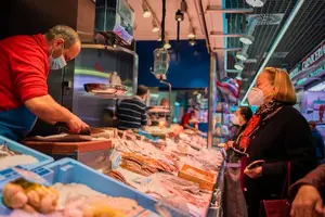 健康美味,滋补无比!探秘鱼肚的营养奥秘 健康美味,滋补无比!探秘鱼肚的营养奥秘