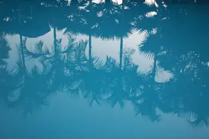 急救肛漏,快速止痛,恢复健康! 急救肛漏,快速止痛,恢复健康!