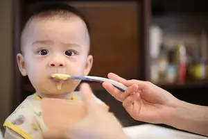 宝宝必备！六个月辅食，味道美味又健康！