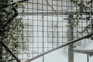 告别鼻塞,迎回畅快呼吸! 告别鼻塞,迎回畅快呼吸!